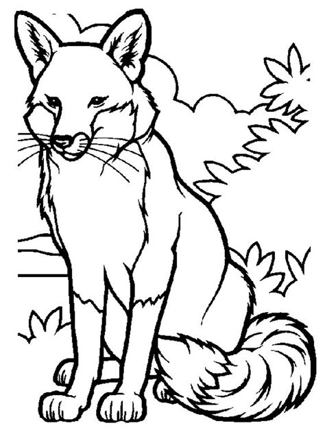 Fox Printable Coloring Pages