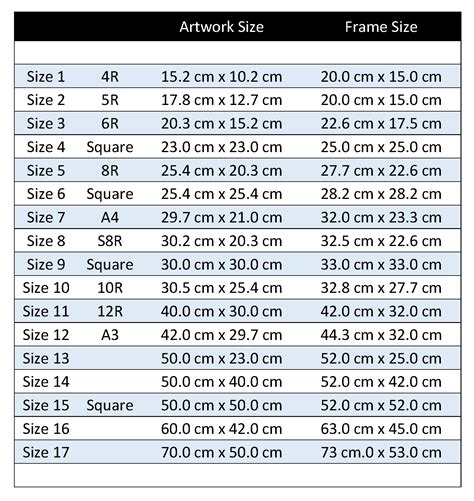 Frame Clothing Size Chart