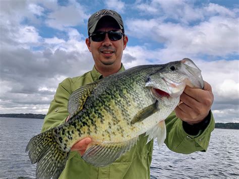 Free Crappie Fishing Catalogs