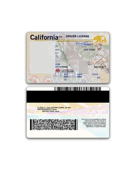 Free Editable Blank California Drivers License Template