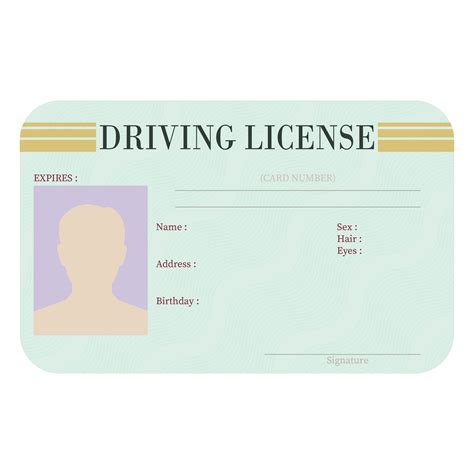 Free Editable Blank Drivers License Template