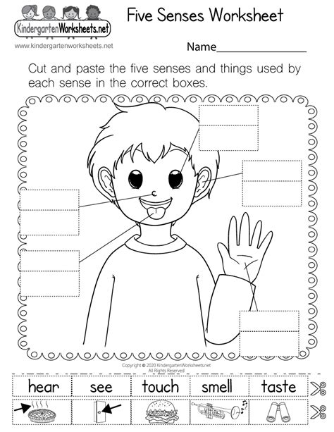 Free Printable 5 Senses Worksheets