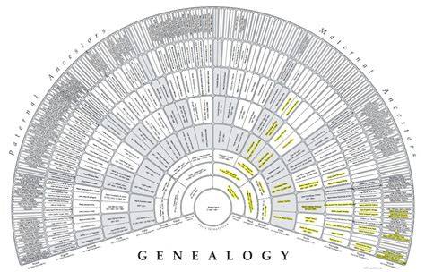 Free Printable 9 Generation Family Tree Fan Charts