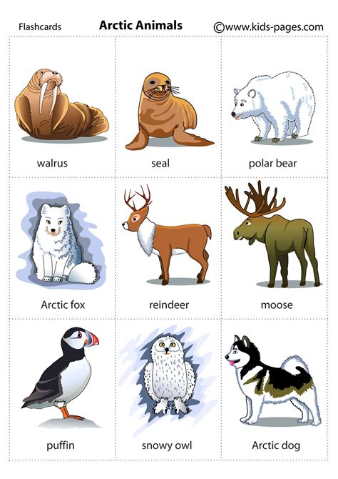 Free Printable Arctic Animals