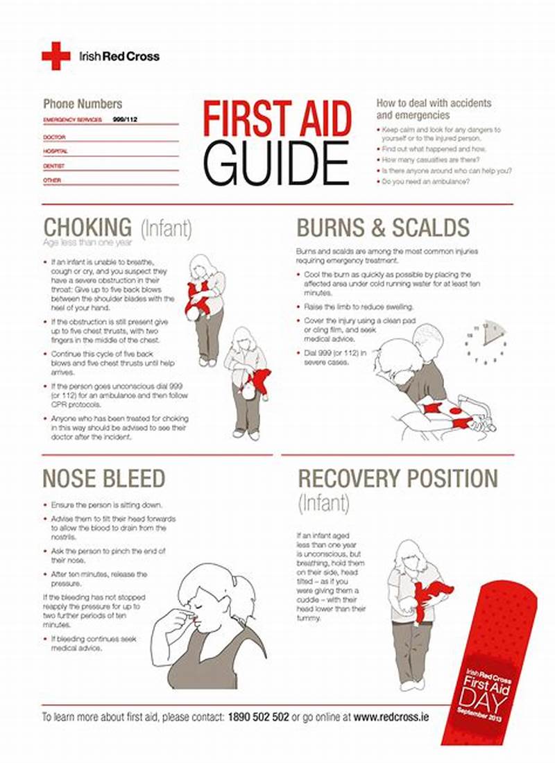 Free Printable First Aid Guide