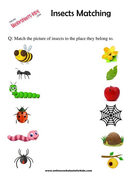 Free Printable Insect Worksheets