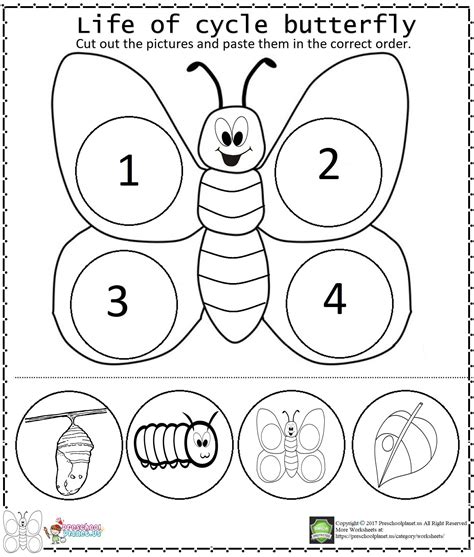Free Printable Life Cycle Of A Butterfly Worksheet