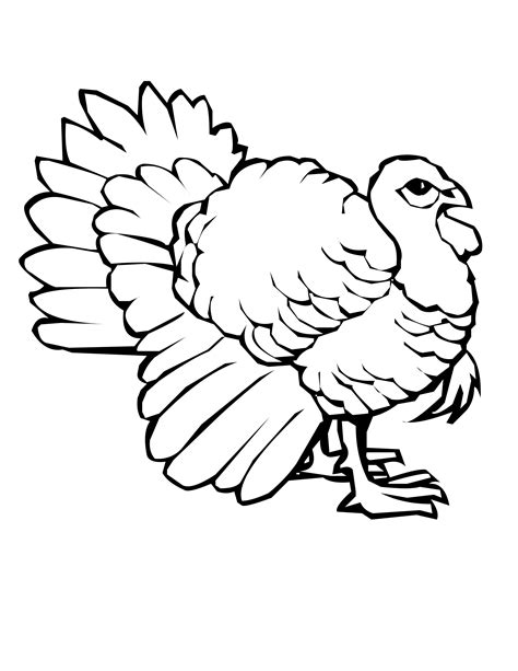 Free Printable Turkey Coloring Pages