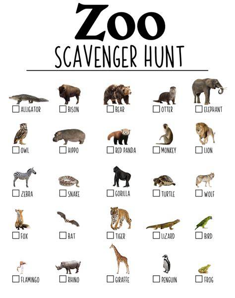 Free Printable Zoo Scavenger Hunt