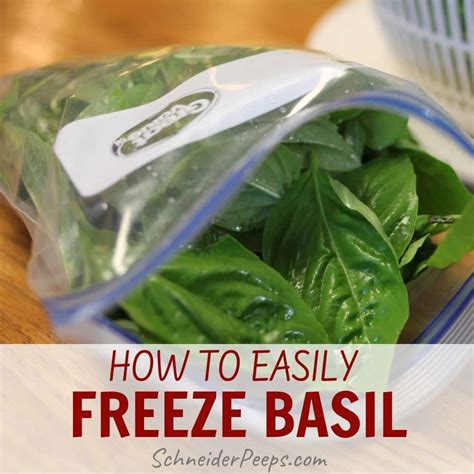 Freezing Basil