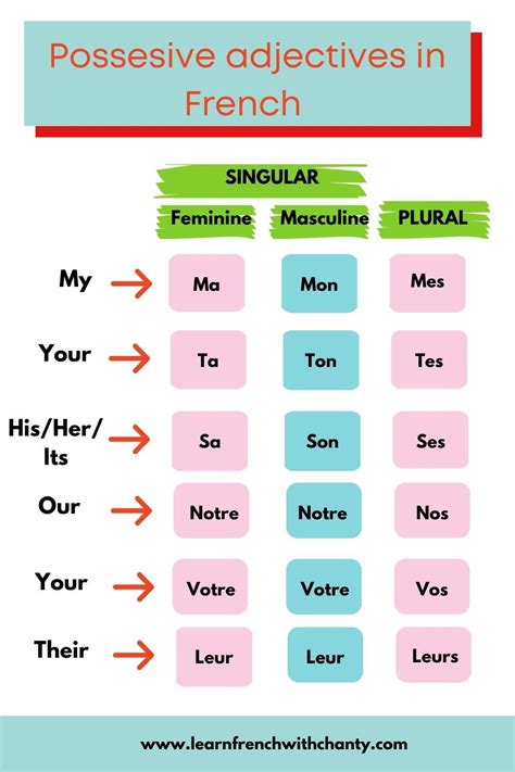 French Possessive Adjectives Chart