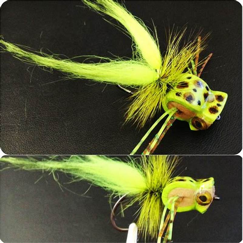 Frog Fly Pattern