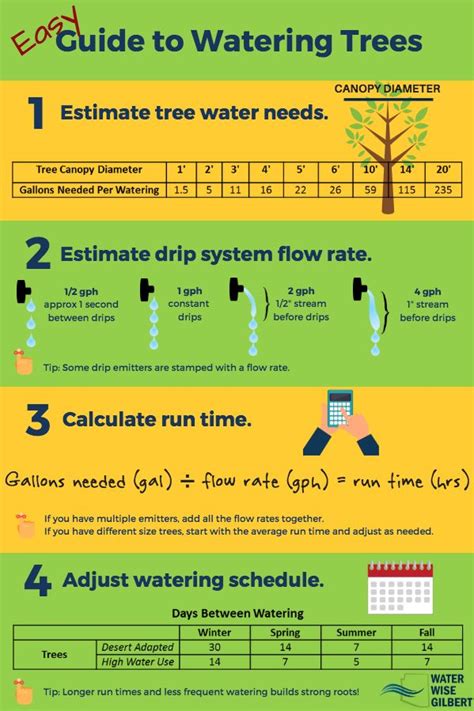 Fruit Tree Watering Chart