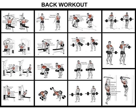 Full Back Workout Chart