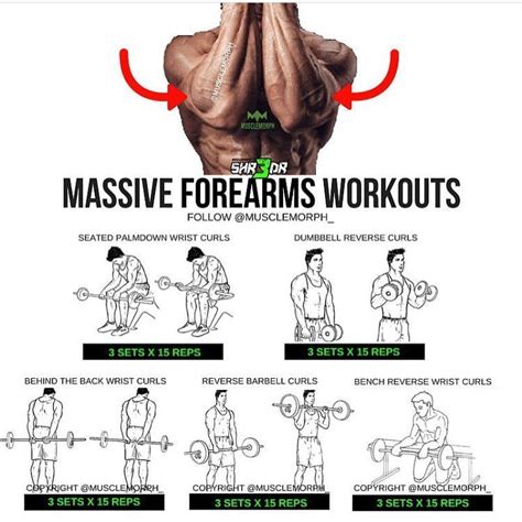 Full Forearm Workout Chart