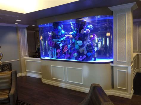 Funds for Fish Tank