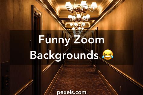 Funny Zoom Backgrounds Free