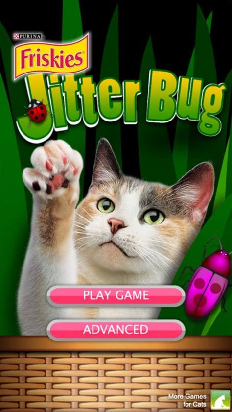 Game for Cats