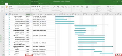 Gantt Chart View Ms Project