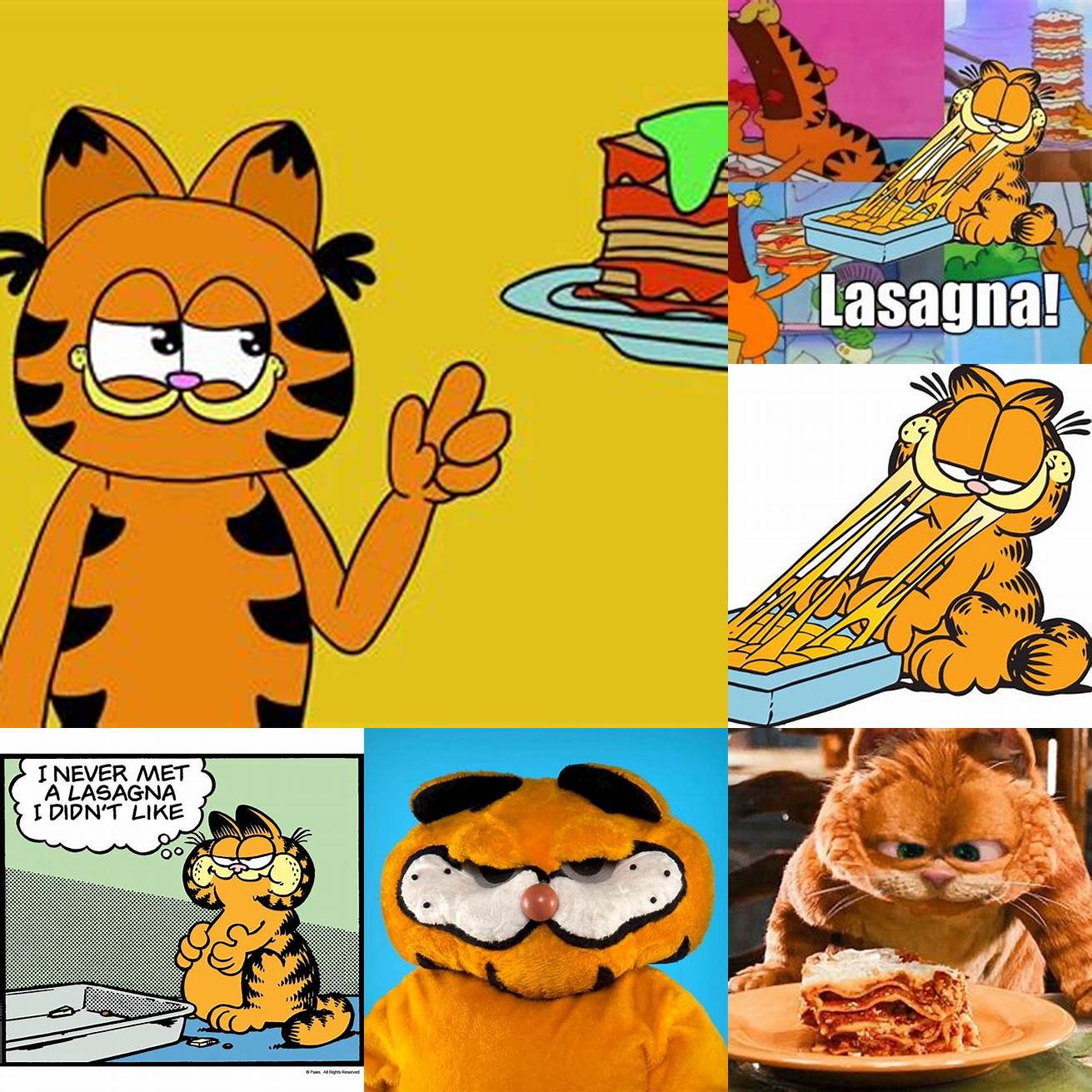 Garfields Lasagna