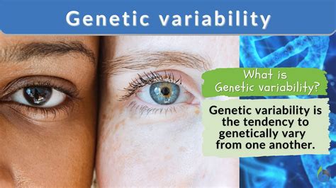The Importance of Genetic Variation