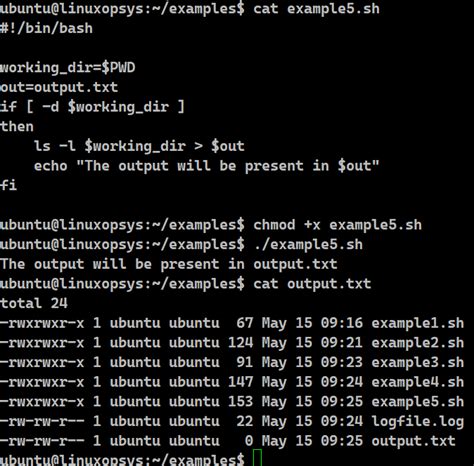 Get just the filename from a path in a Bash script duplicate