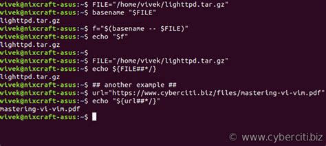 Get last dirnamefilename in a file path argument in Bash