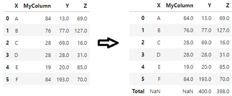 Get total of Pandas column