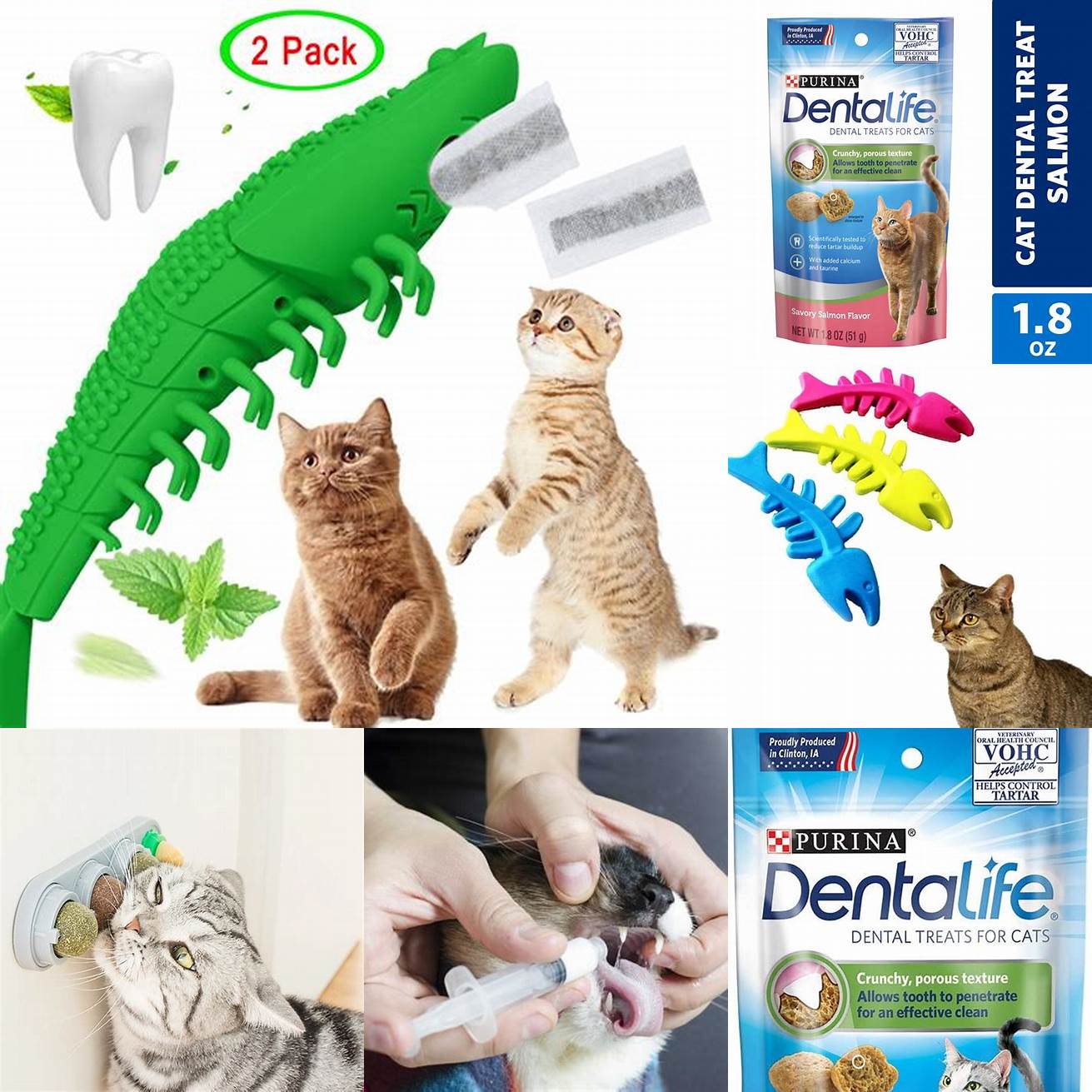 Give your cat dental treats or toys
