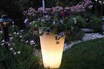 Glow In The Dark Planters
