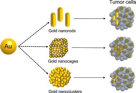 Gold Nanoparticles