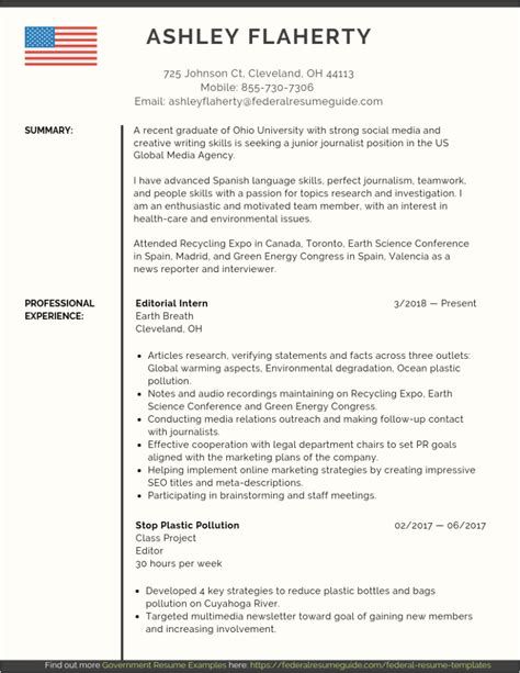 Government Resume Template