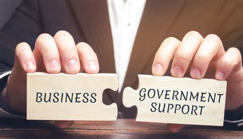 Government Support