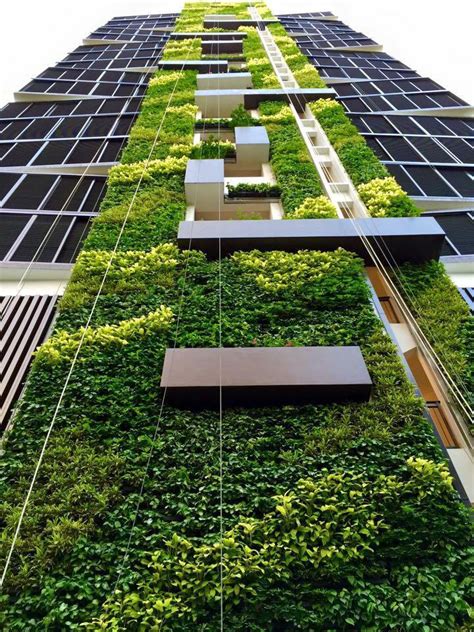 desain green roof dan green wall