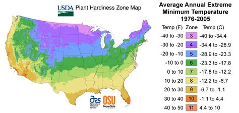 Growing Zone Chart Usa