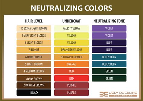 Hair Color Correction Chart