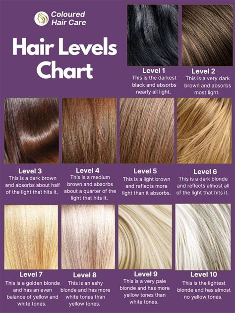 Hair Color Levels 1 10 Chart