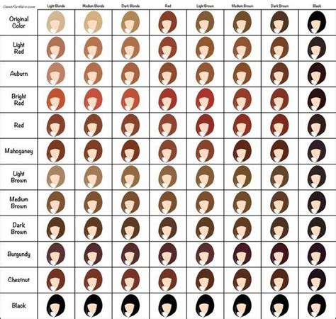 Hair Colour Genetics Chart