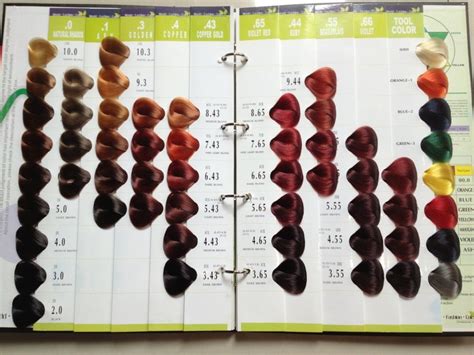Hair Salon Color Chart