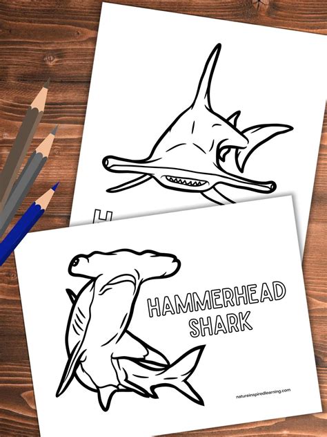 Hammerhead Printable