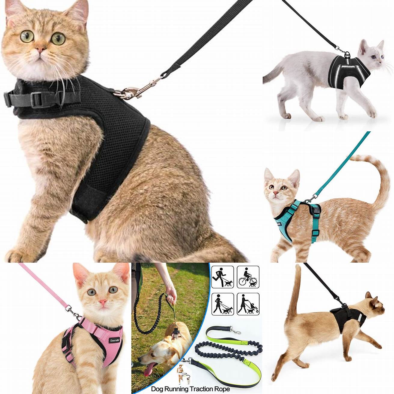 Hands-Free Leashes