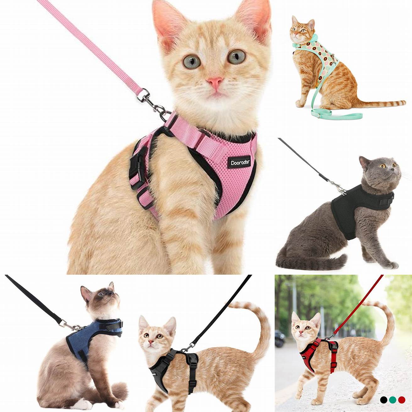 Harness Leashes