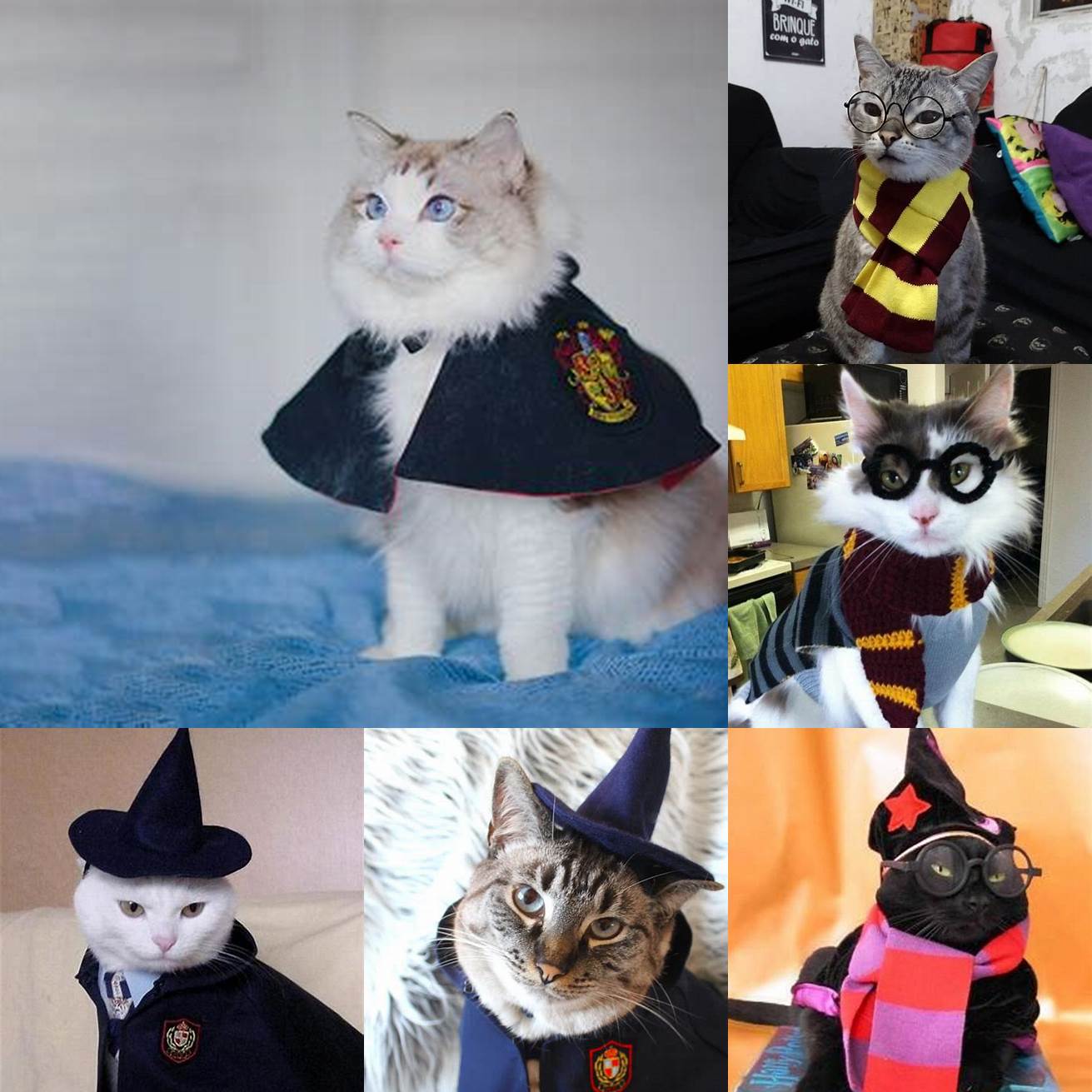 Harry Potter Cat Costume