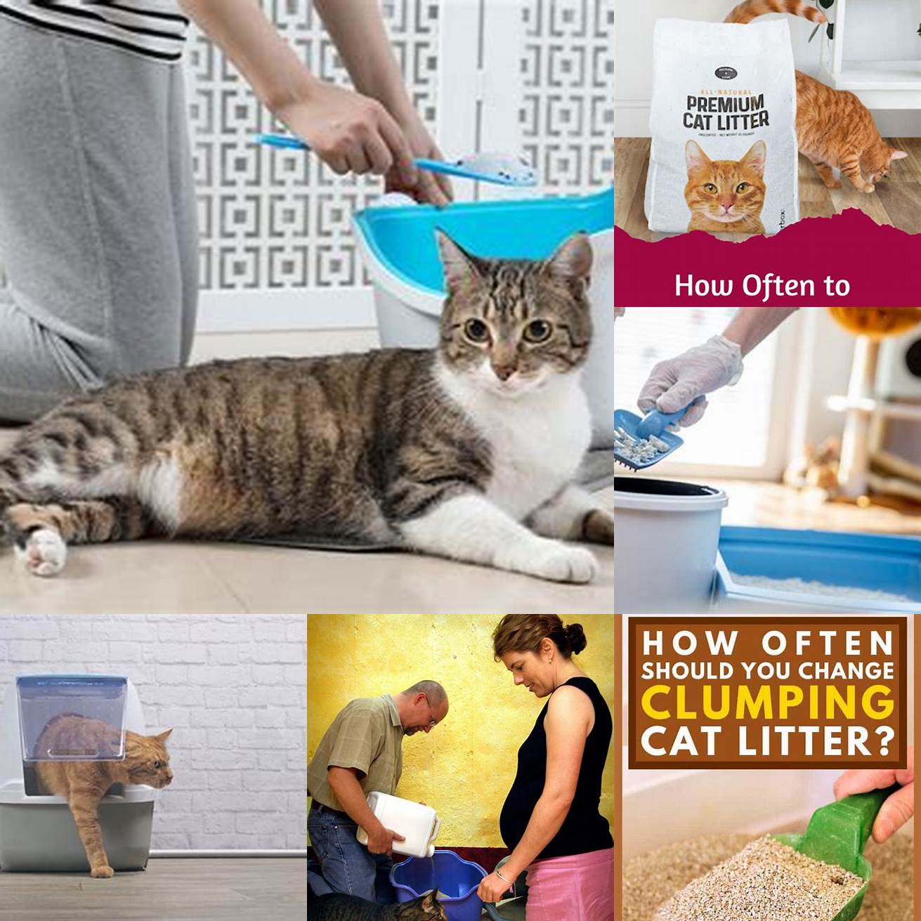 Have someone else change the cat litter if youre pregnant or have a weakened immune system