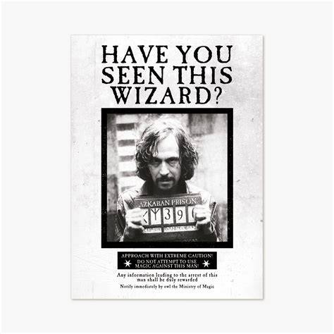 Have You Seen This Wizard Poster Printable