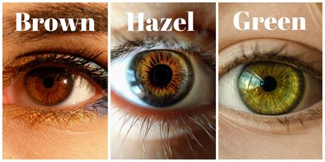 Hazel Eye Color