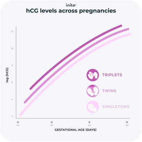 Hcg Levels Chart For Twins