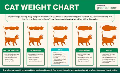 Healthy Weight Cat Chart