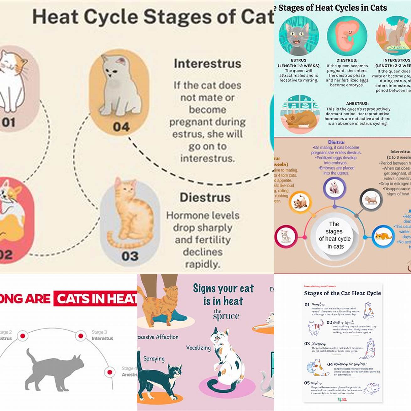 Heat Cycle Hormones