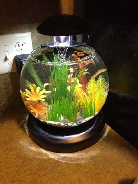 Betta fish tank with heating system
